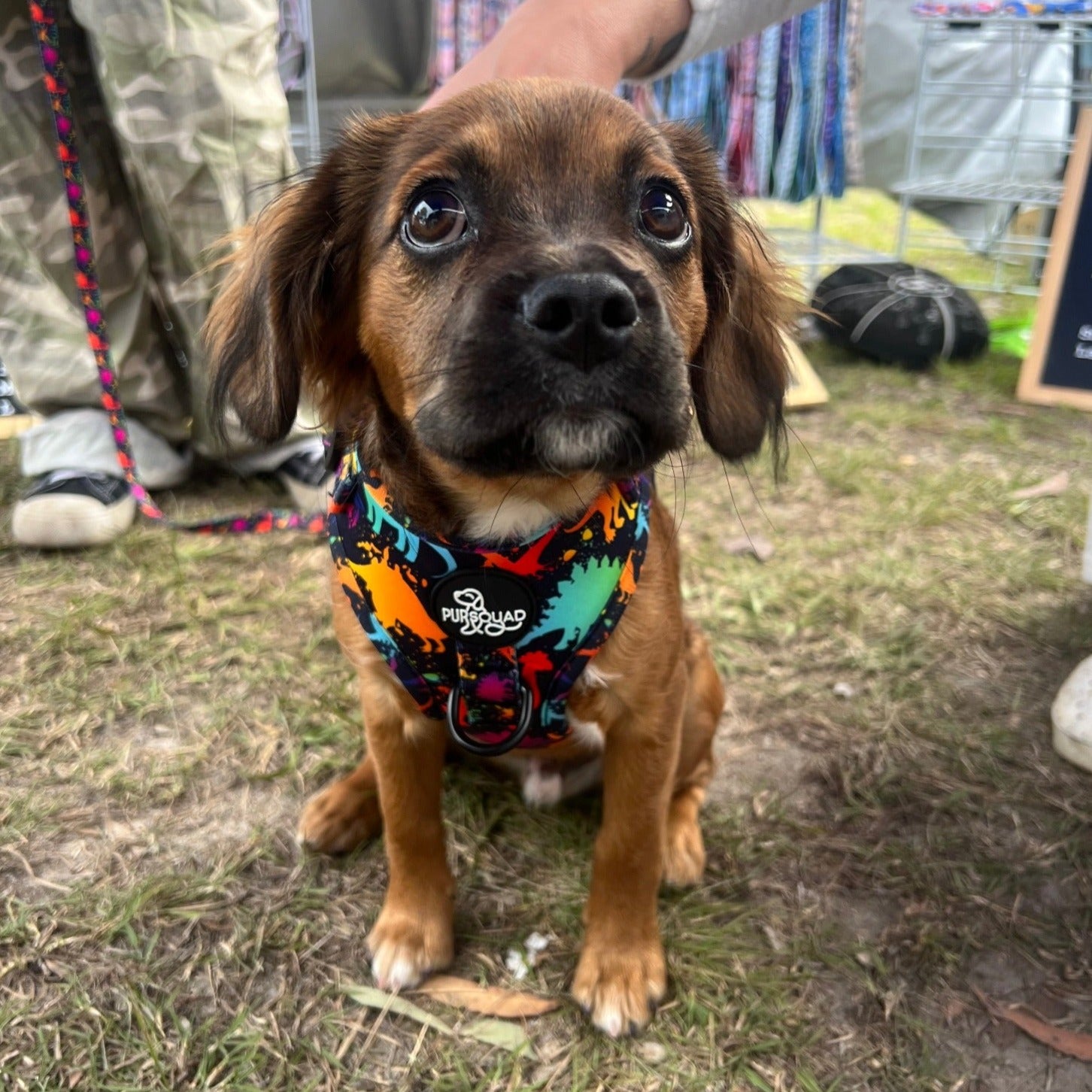 **HOT NEW DESIGNS** Shop What's New...