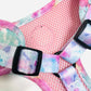 Sherbet Bomb - Harness