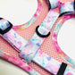Sherbet Bomb - Harness