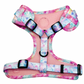 Sherbet Bomb - Harness