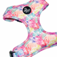 Sherbet Bomb - Harness